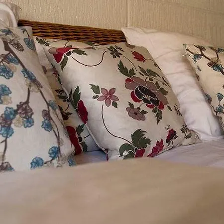 אורחן Slotskro Tranekær